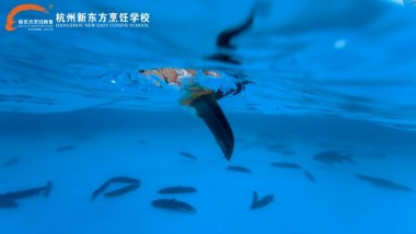 ��ú�ح�����|�����i������Ȥζ���Բ��ԵĲ���Ҫ����Ҫ�����~